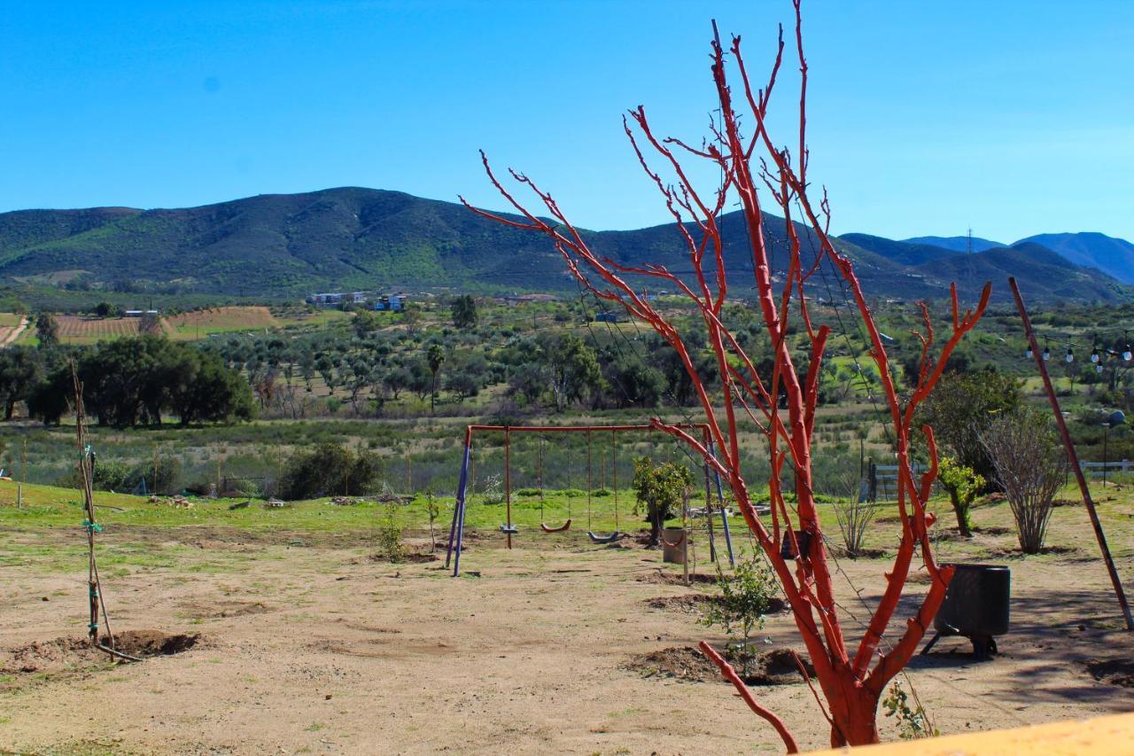 Rancho Matalote En Valle De Guadalupe Dış mekan fotoğraf