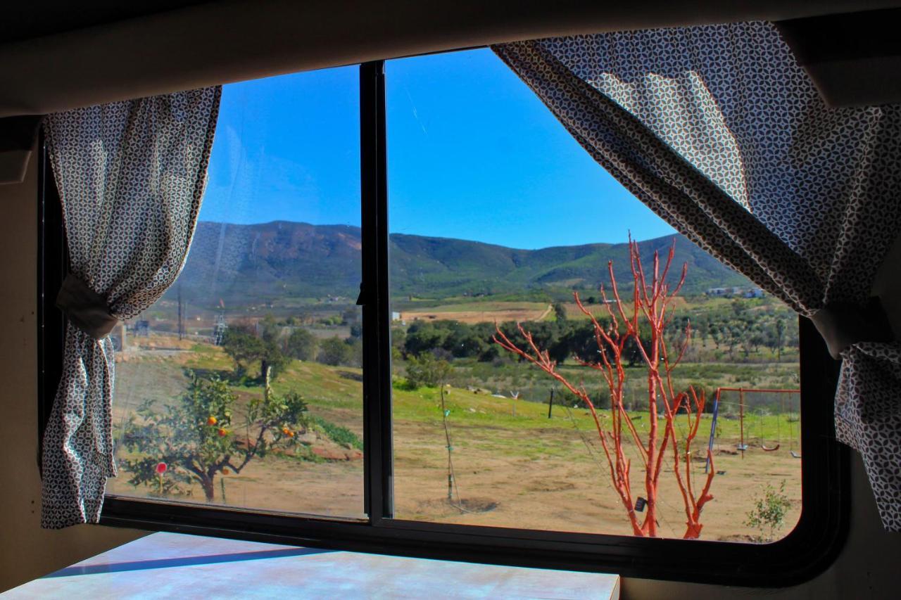 Rancho Matalote En Valle De Guadalupe Dış mekan fotoğraf