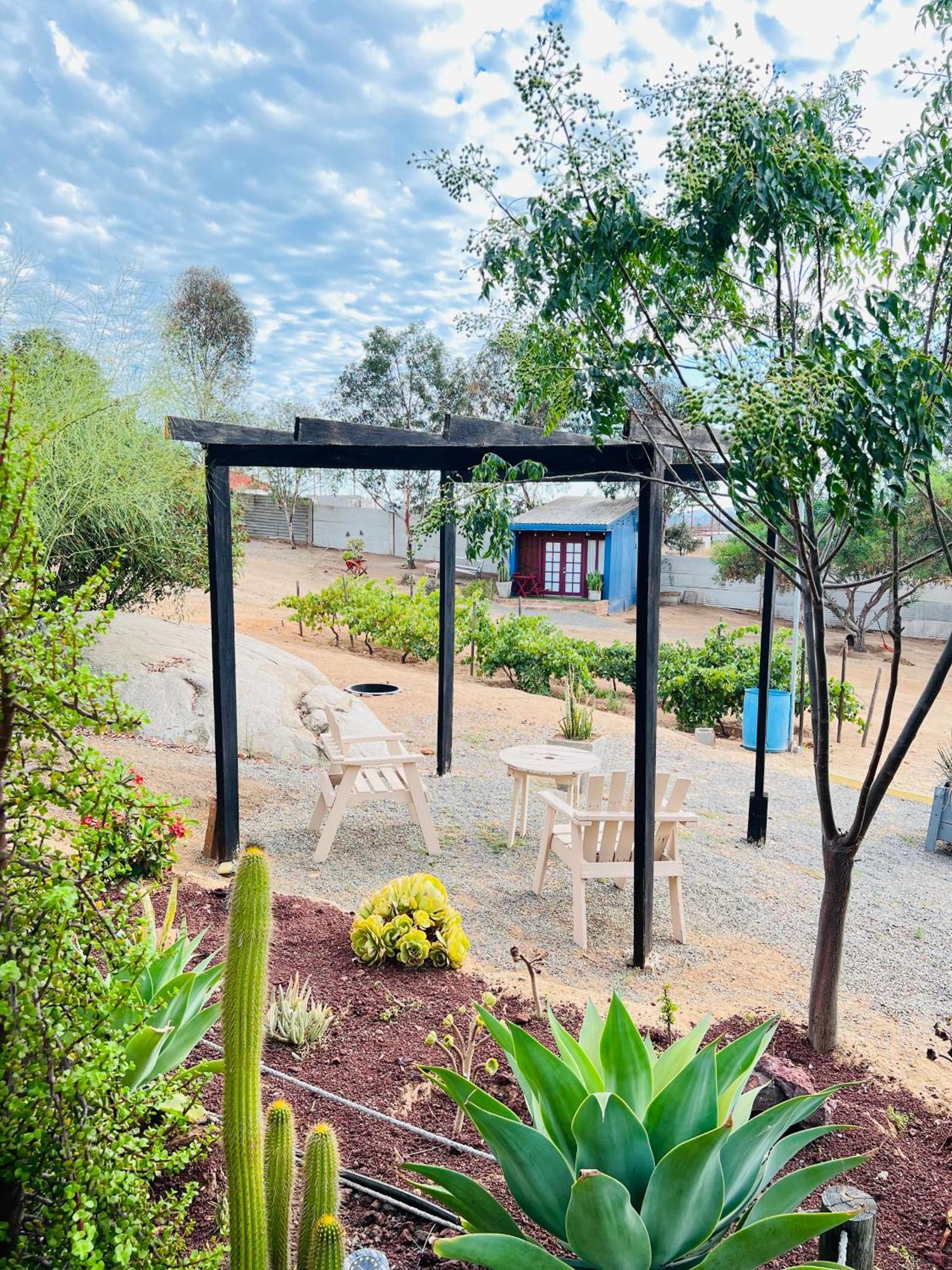 Rancho Matalote En Valle De Guadalupe Dış mekan fotoğraf