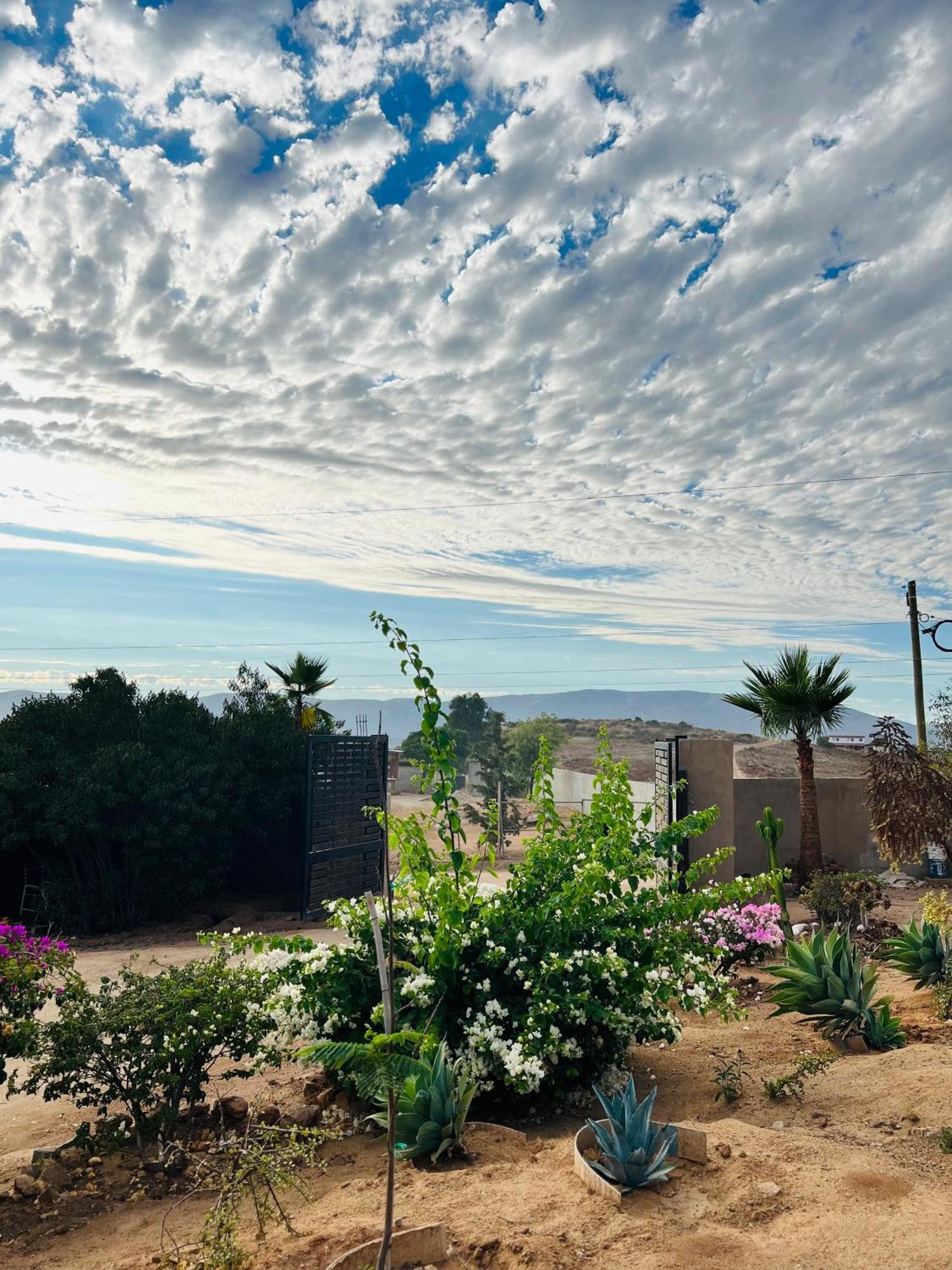 Rancho Matalote En Valle De Guadalupe Dış mekan fotoğraf